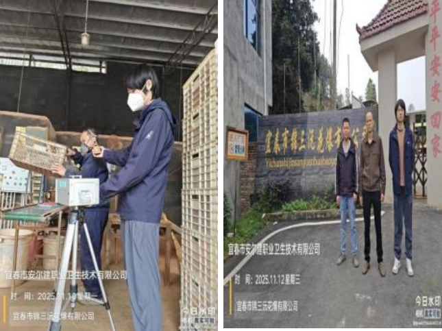 1764032771107989.png image.png